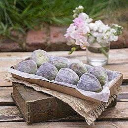 冒险RPG《创神之阿尔斯马格纳》Steam页面上线 3月31日发售